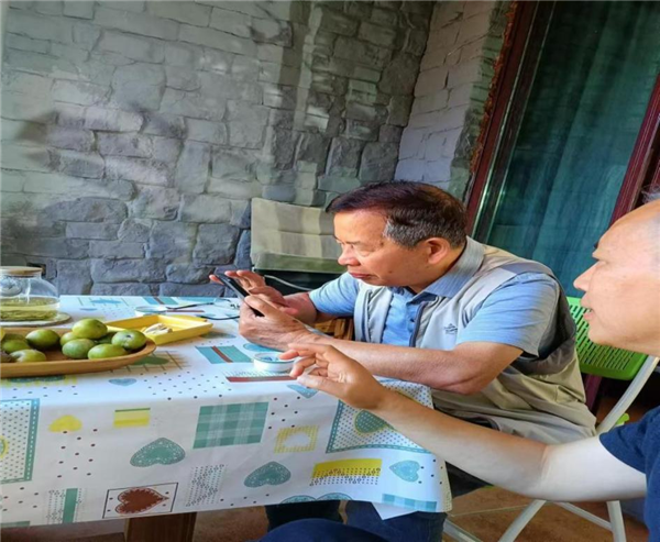 1724205729691546.png 圖片2.png